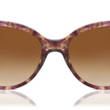 Coach HC8132 L109 528713 Full Rim Brown Women's Sunglasses (UV Category 3)